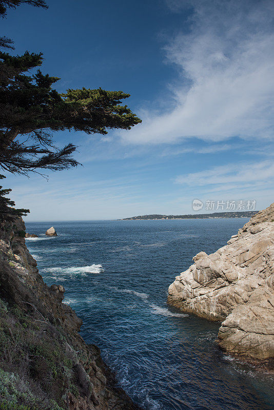 Point Lobos州立公园